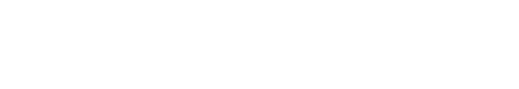 SIDEKICK